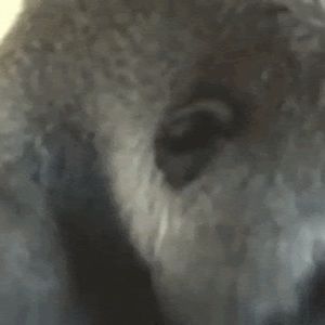 Meet your Posher, Parker